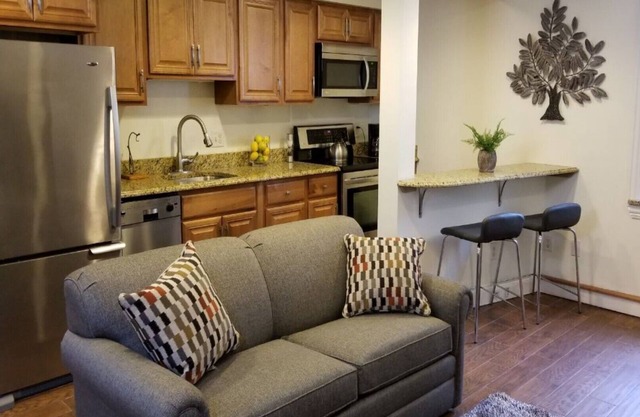 Location, Location! Downtown Luxury 1 Bedroom Apt