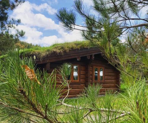 Log home village