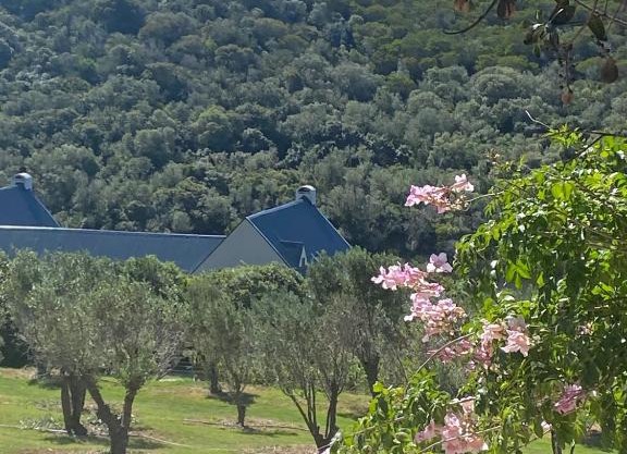 Long Thin Farm