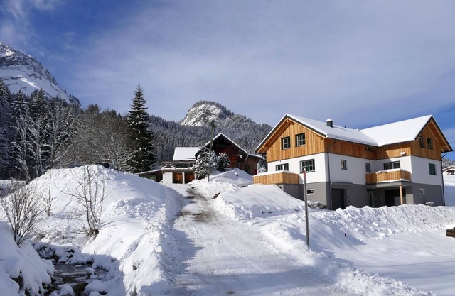 Loserblick house - Kubon family - Chalet