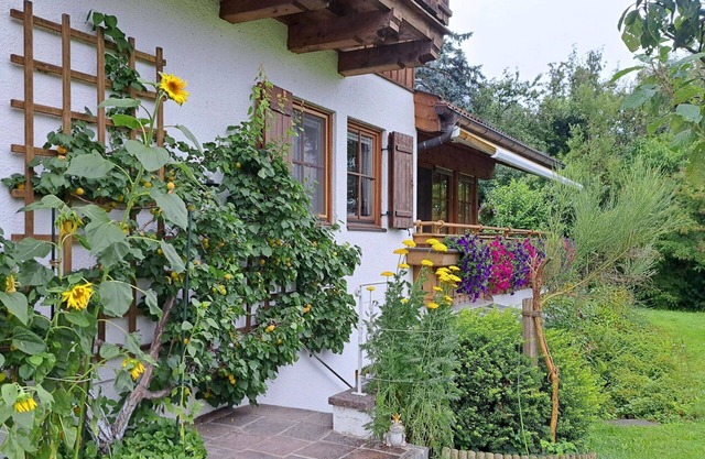 Lovely apartment for 5 guests with WIFI, TV, patio and pets allowed