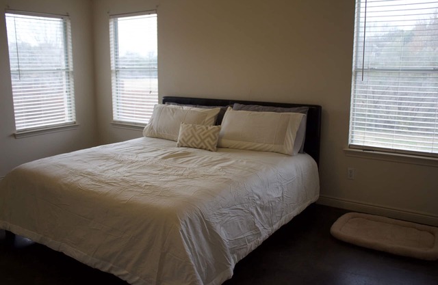 Lovely home great for visitors or families relocating or renovating with pets
