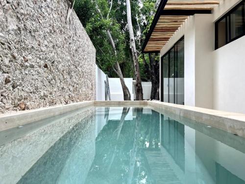 Lux in the Center of Mérida, swimming pool