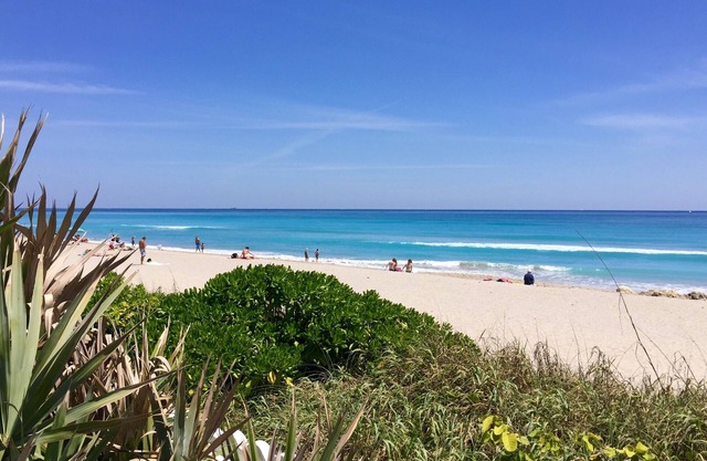 Luxurious 4 bedroom, 3 bathroom pool home