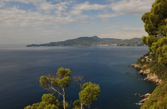 Luxurious Home With Private Access To The Sea And A Spectacular View