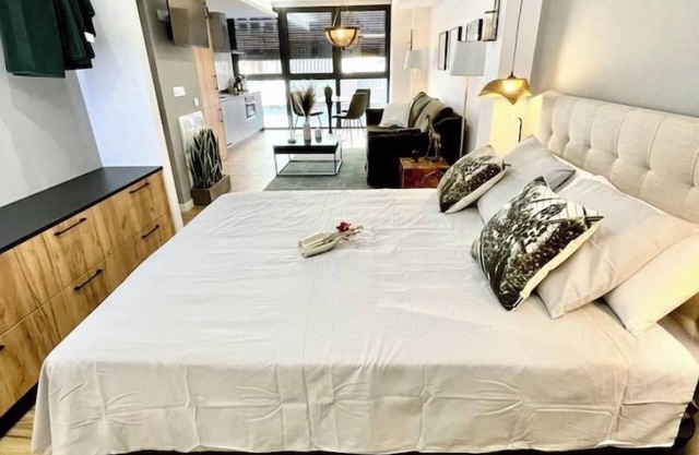 Luxury Apartment in Alicante city 2