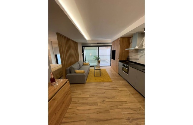 Luxury Apartment in Alicante City 3