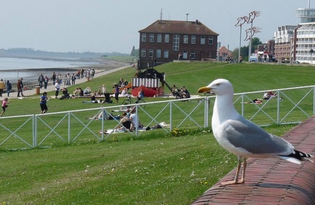 Luxury captain's apartment 'Helgoland-Avantgarde' directly on the south beach in WHV