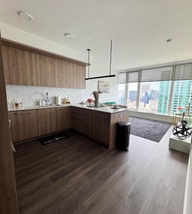 Luxury on the Lake - Chicago High Rise