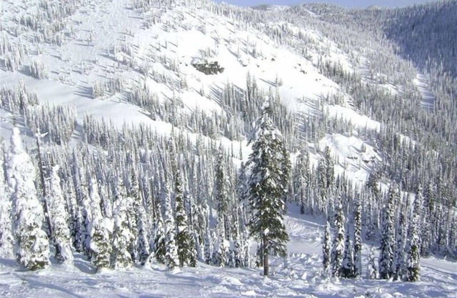 Luxury Townhouse: Ski-in Ski Out at Whitefish Mountain Resort