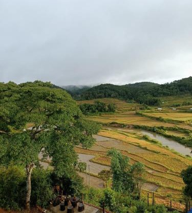 Măng Đen Farm Stay A Vũ