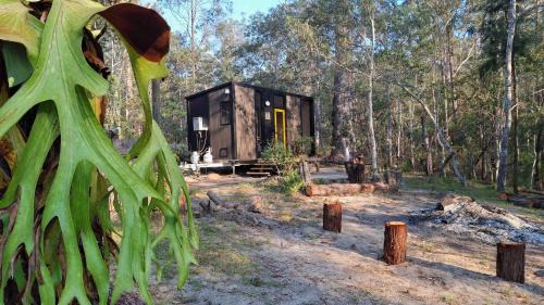Magic Bush Stay Yamba Hinterland by Tiny Away