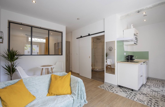 Magnificent apartment with swimming pool located in the city center - Wifi - Parking