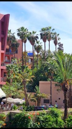 Magnifique appartement face au jardin Majorelle