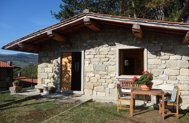 Magnolia house with pool between Florence and Arezzo