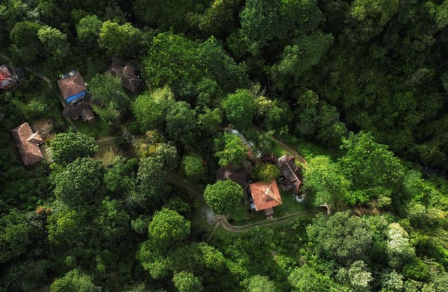 Mahout Resort Wayanad - An Experiential Jungle Stay with Waterfall