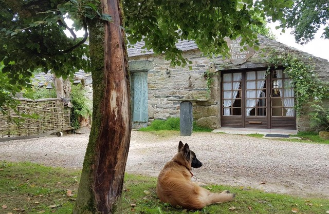 Maisonnette atypique au pied des monts d'Arree