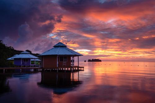 Mango Creek Resort