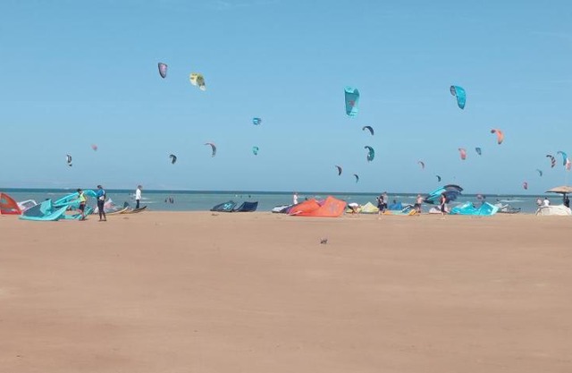 Mangroovy A F El Gouna