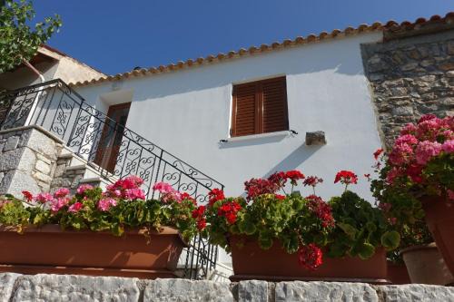 Mani's House