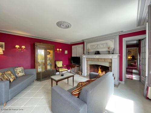 Manoir avec jardin privé, cheminée et animaux admis - FR-1-497-180