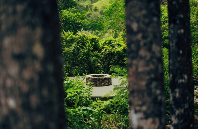 Matahom Forest Glamping Tent 1