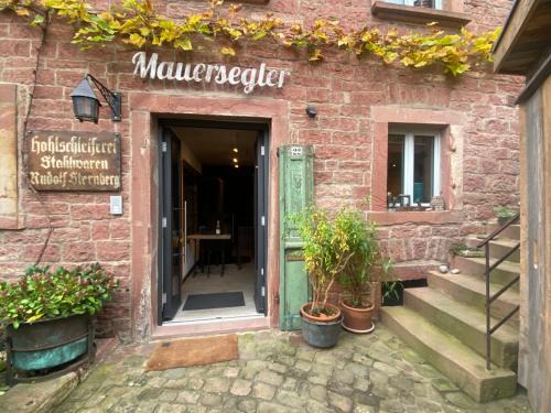 Mauersegler