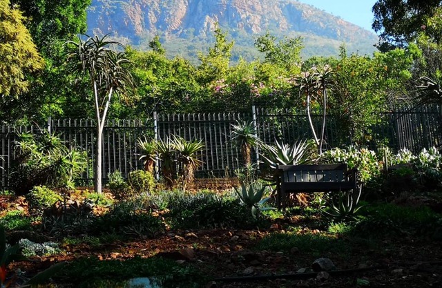 Mia Hills guest house