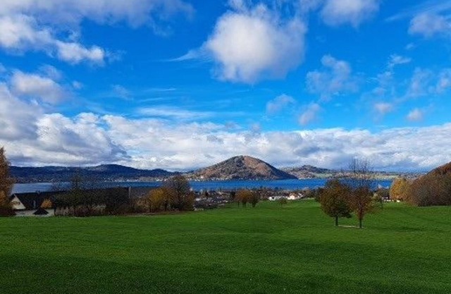 Michlbauer vacation apartment - pure nature in Weyregg am Attersee - Holiday apartment