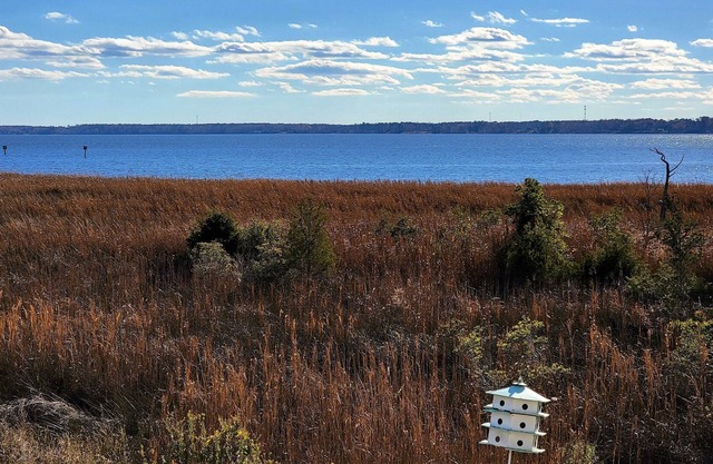 Minutes from downtown New Bern