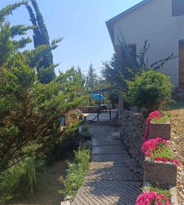 Mir u prirodi