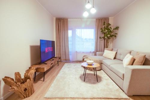 Modern and comfortable city apartment