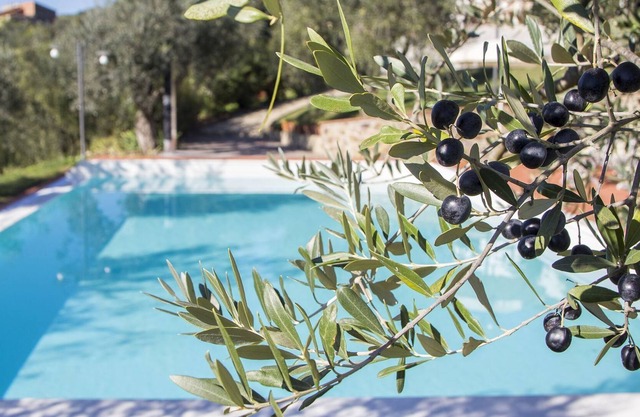 Modern Apartment in Larciano with Swimming Pool
