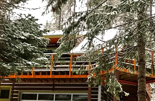 Modern Custom Cabin In Hope