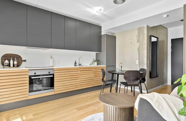 Modern luxury apartment
