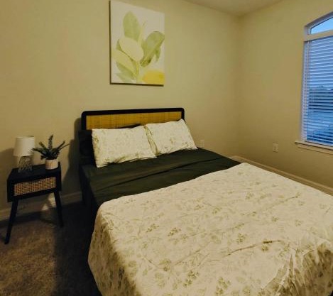 Modern Stay Near Austin Attractions