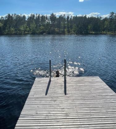Moderne hytte ved sjøen med badstue