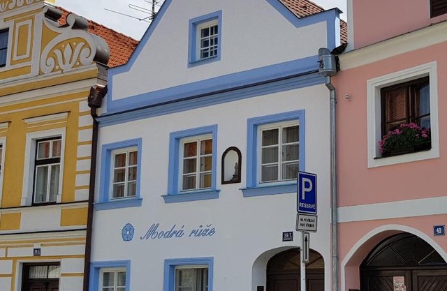 Modrá růže Třeboň