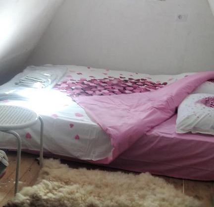 Moj raj