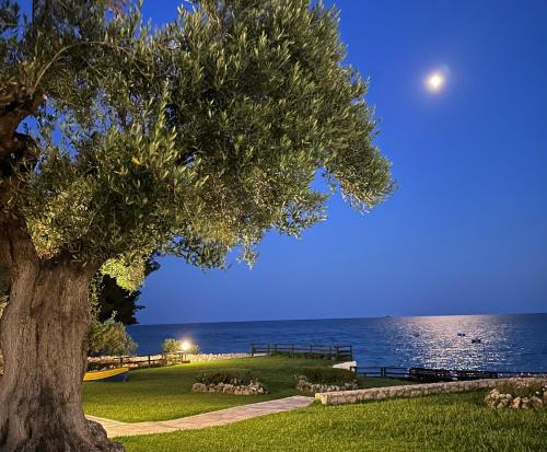 Mola Kalyva SeaView Mesidrili