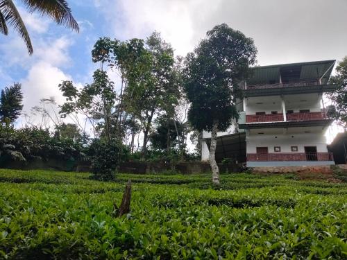 Monte Sereno Munnar