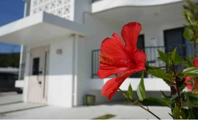 Monthly This is a 2LDK hotel near the rising sea / Kunigami-gun Okinawa