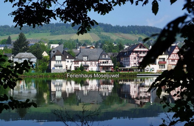 Moselufer half-timbered dream vacation apartment with sauna and indoor pool