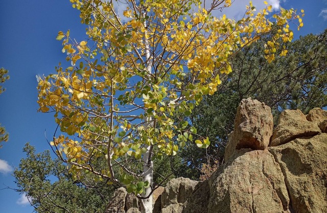 Mountain Cabin, Cozy Off-Grid Retreat near Westcliffe,CO See below for Specials!