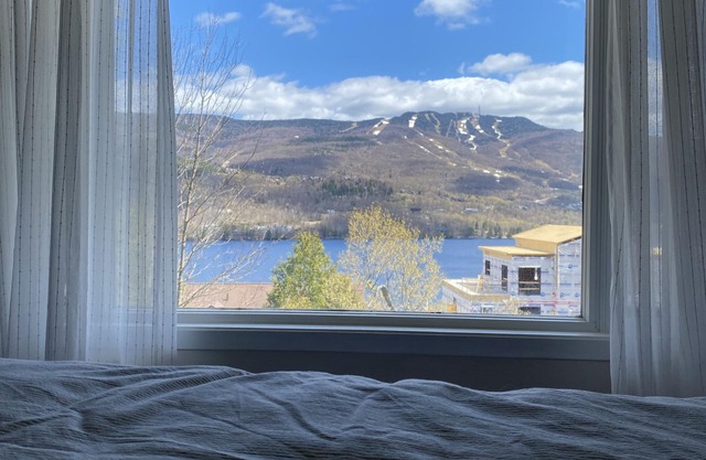 Mountain view fully renovated 6-8 people condo,pet friendly