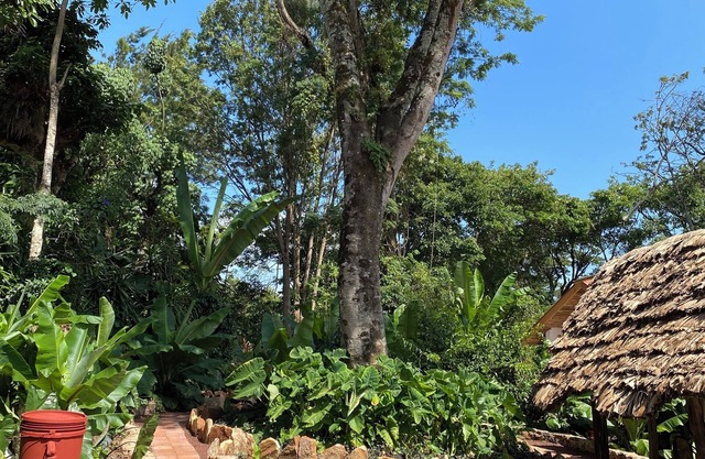 Mrefu Eco Lodge