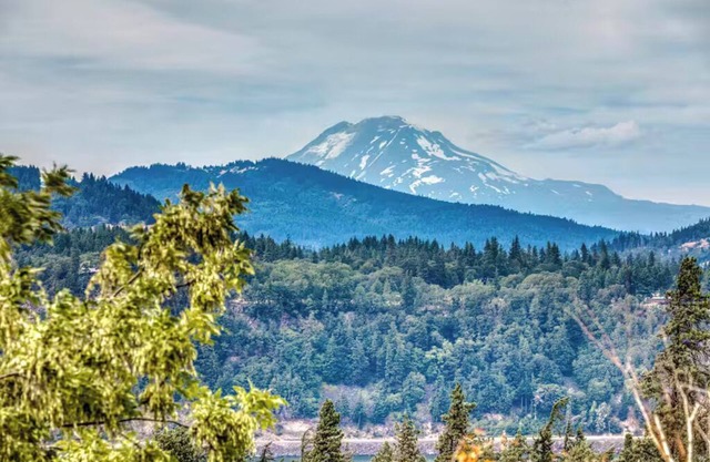 Mt. Adams View, Trails, River View, Pets OK, Walkable to Downtown