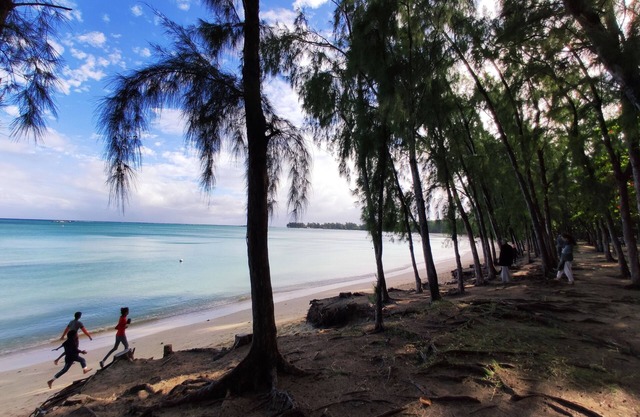 Mt.Choisy villa, 5 minutes walk from the beach!