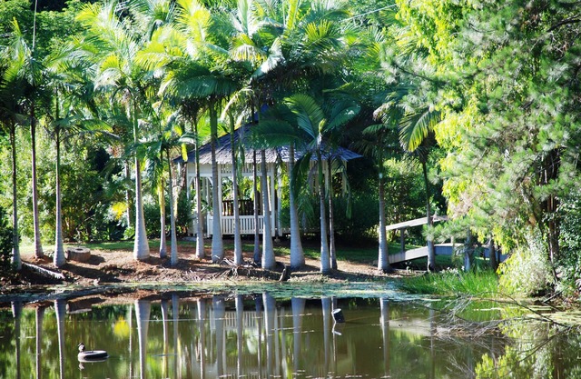 Mt Warning Rainforest Retreat