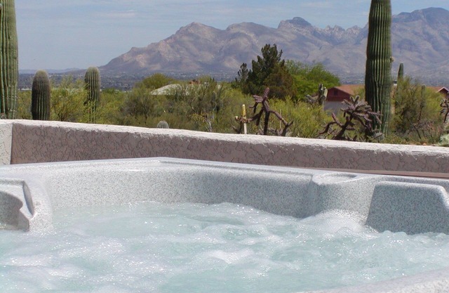 Mtn/City Views, Quiet Privacy on 1 Acre of Giant Saguaros! Wheelchair friendly.